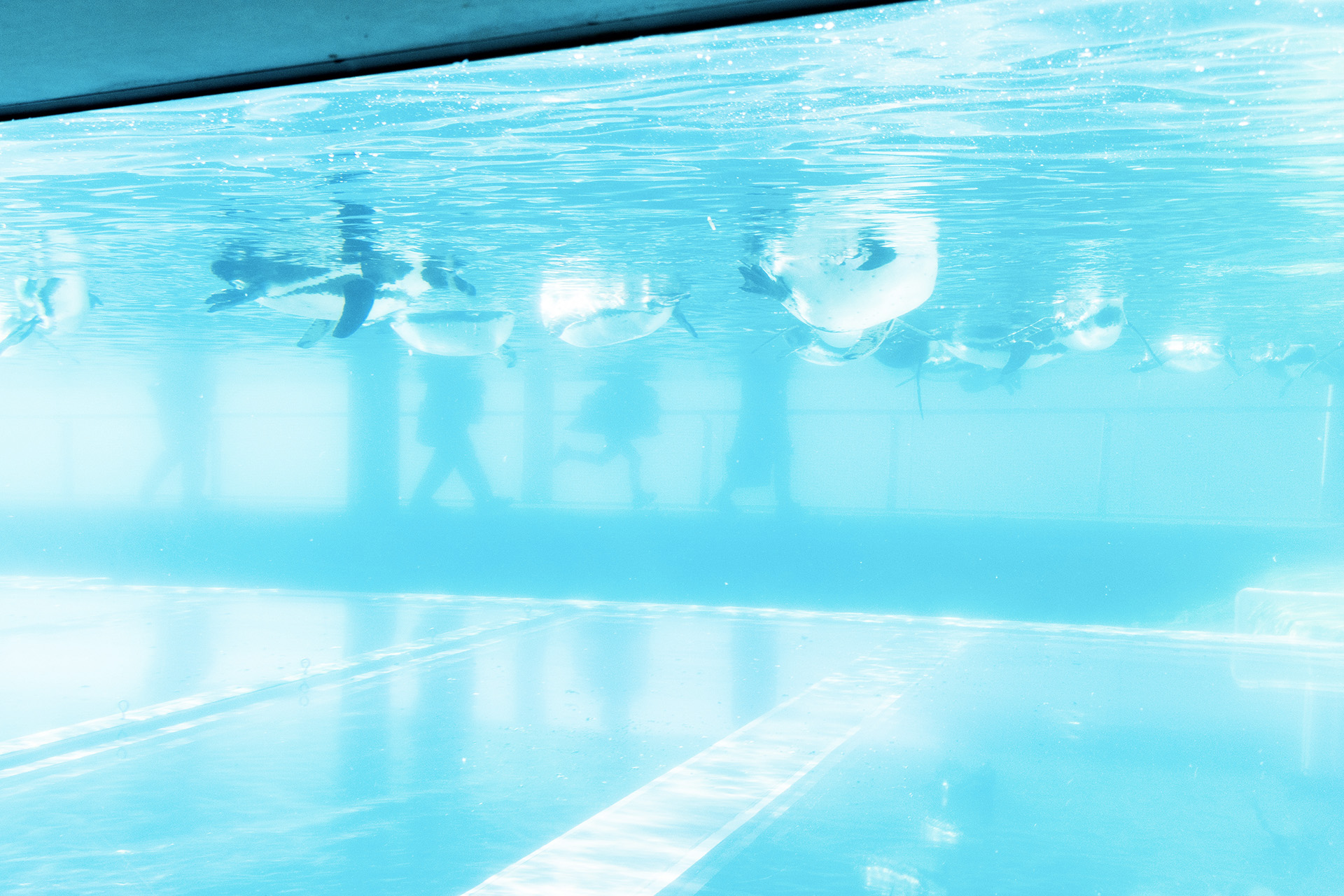 ペンギン館の写真